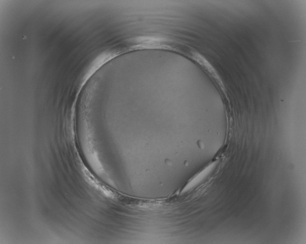 X0000080761386200701051225