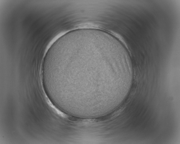 X0000080761387200701051225