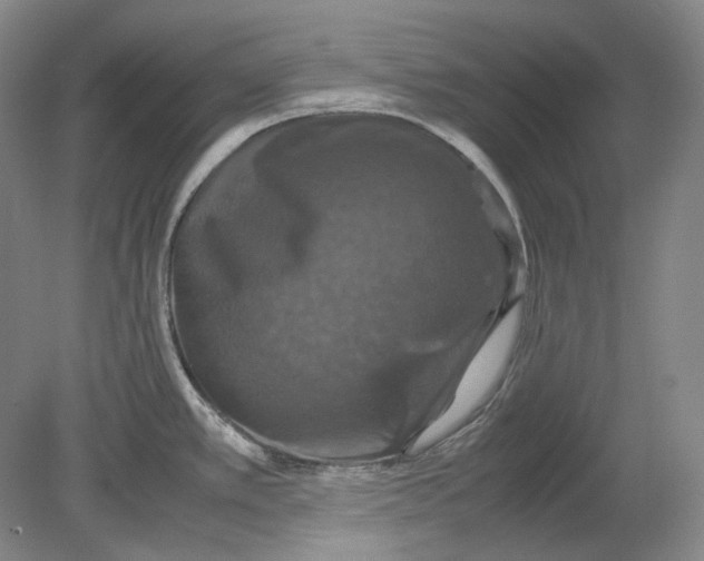 X0000080761389200701051225