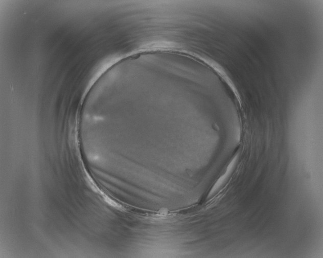 X0000080761390200701051225