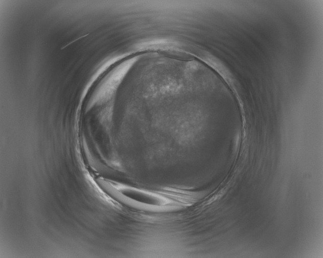 X0000080761392200701051225
