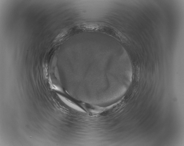 X0000080761394200701051224