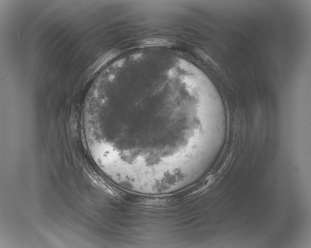 X0000080761401200701051224