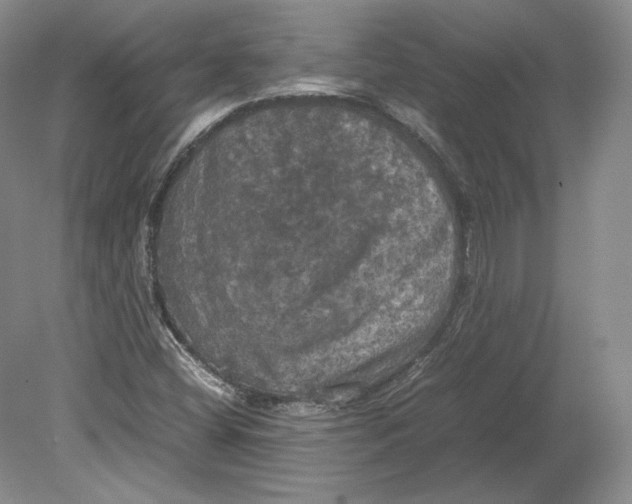 X0000080761404200701051224