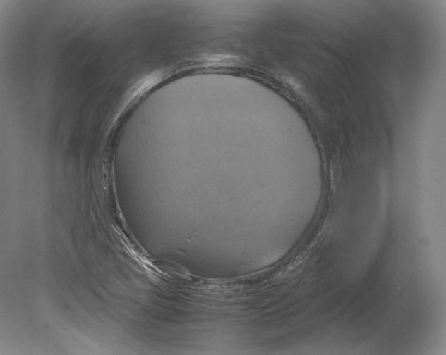 X0000080761405200701051224