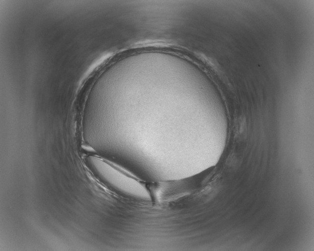 X0000080761406200701051224