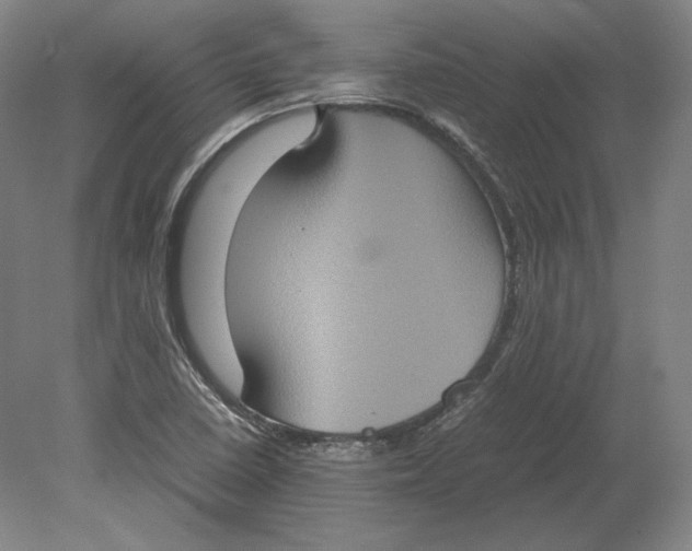 X0000080761410200701051224