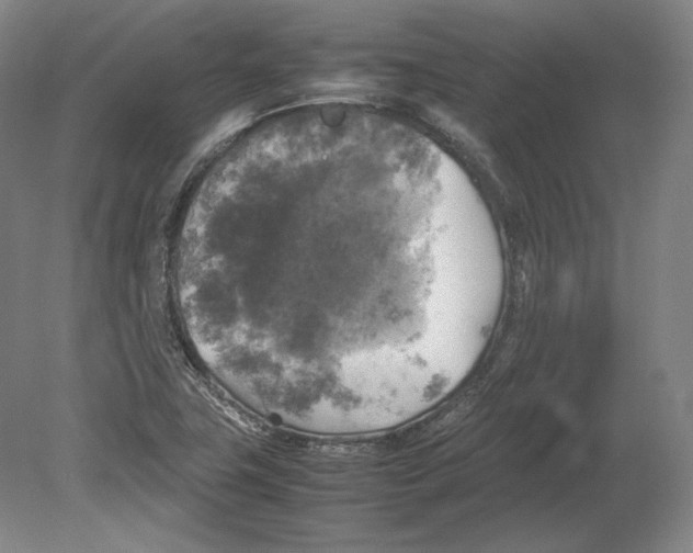 X0000080761411200701051224