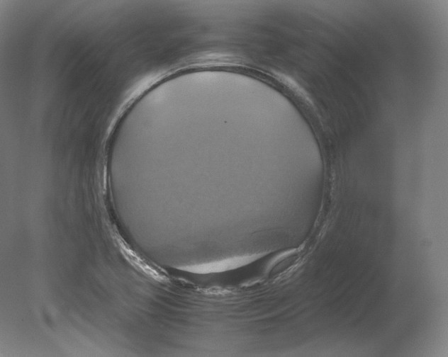 X0000080761413200701051224