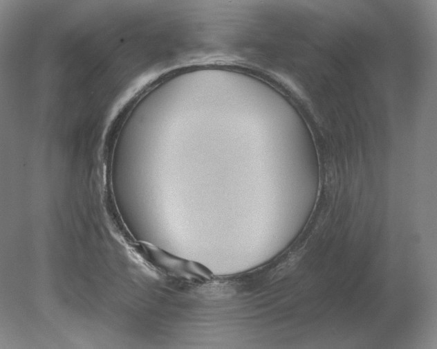 X0000080761414200701051224