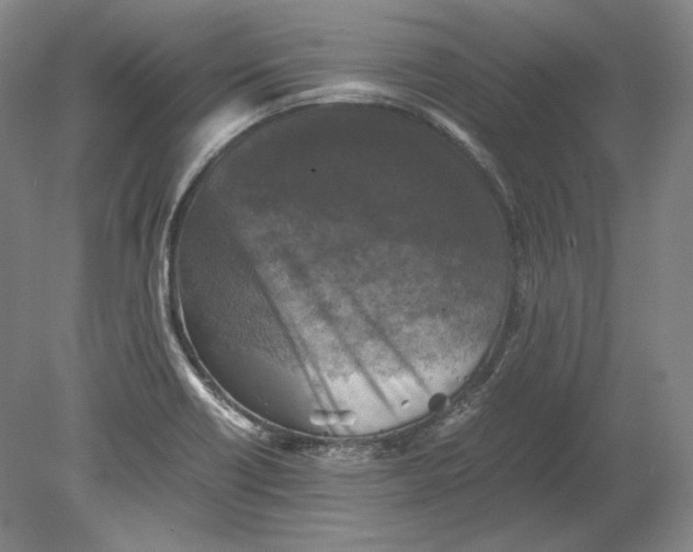 X0000080761418200701051224