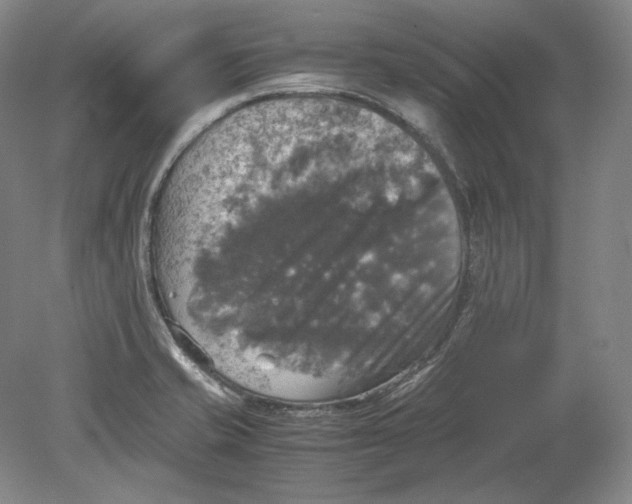 X0000080761421200701051224
