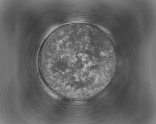 X0000080761423200701051224