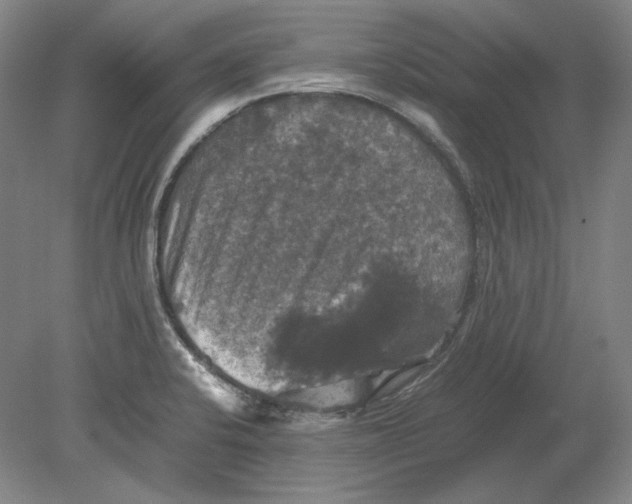 X0000080761424200701051224
