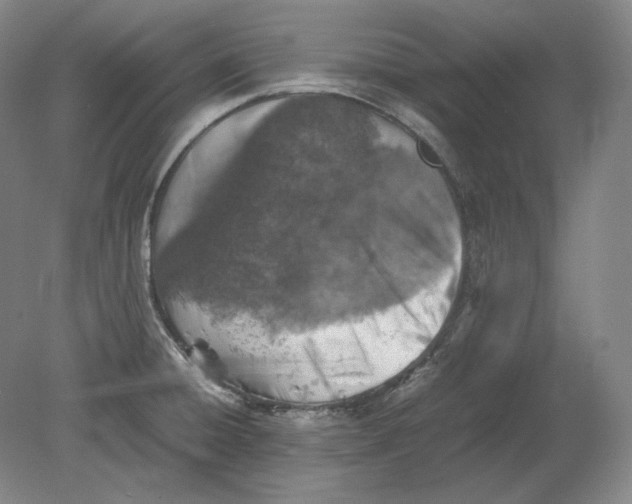 X0000080761428200701051224