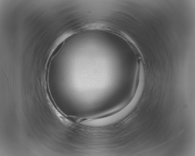 X0000080761434200701051225