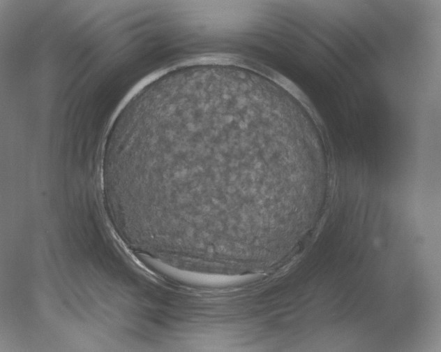 X0000080761436200701051225