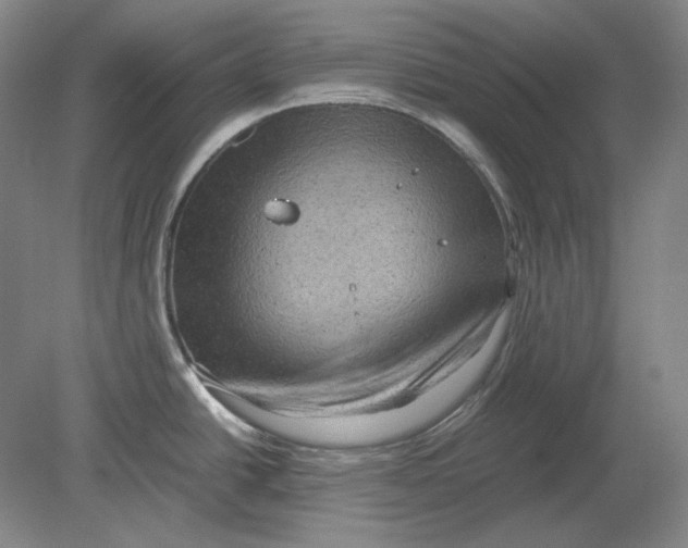 X0000080761438200701051225