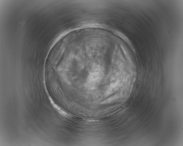 X0000080761439200701051225