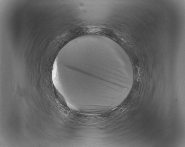 X0000080761441200701051224