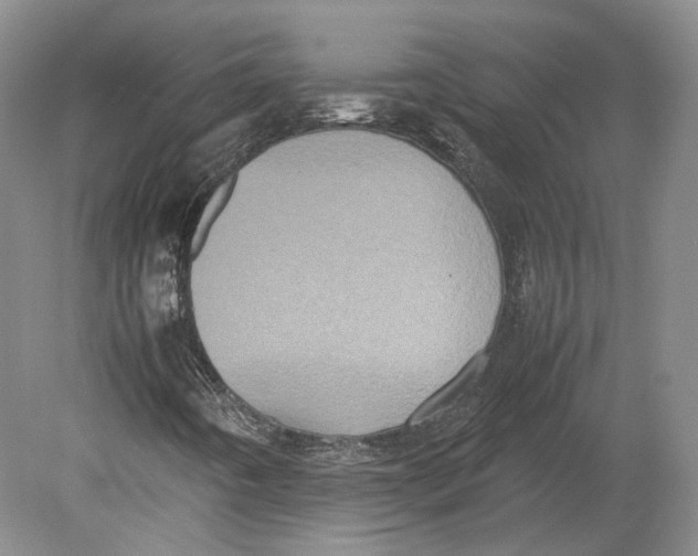 X0000080761442200701051224