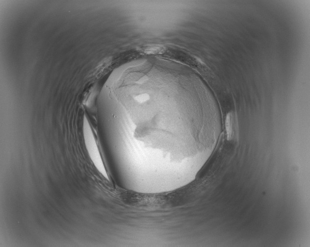 X0000080761443200701051224