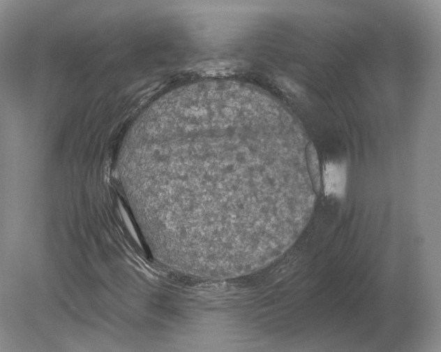 X0000080761444200701051224
