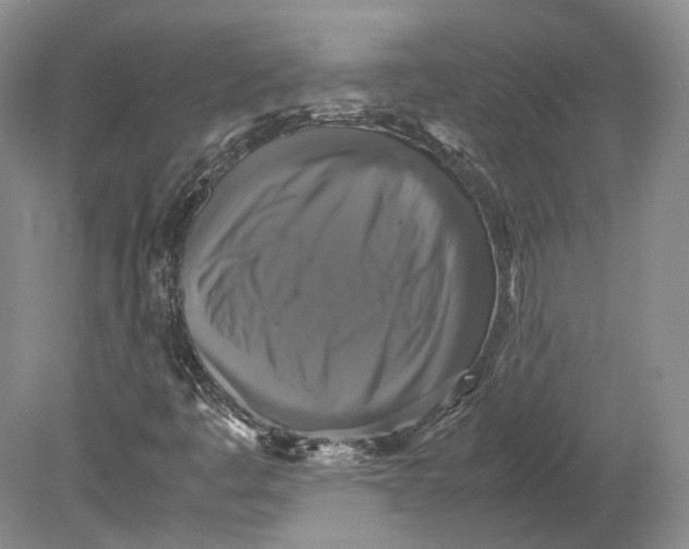 X0000080761445200701051224