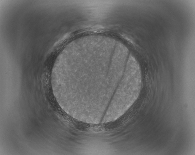 X0000080761447200701051224