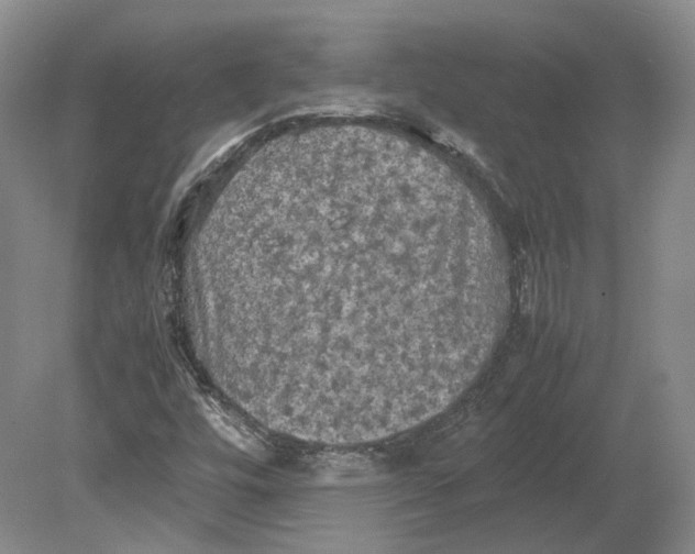 X0000080761448200701051224