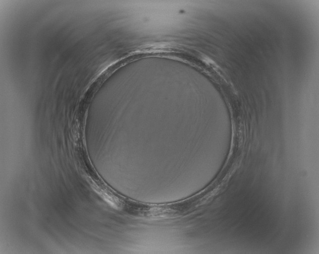 X0000080761449200701051224