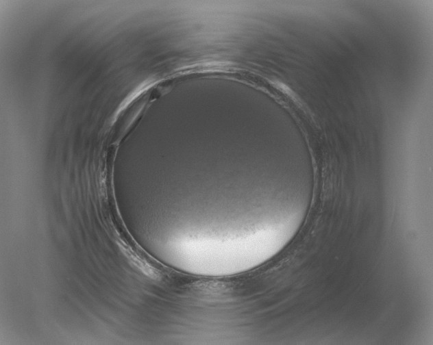 X0000080761450200701051224