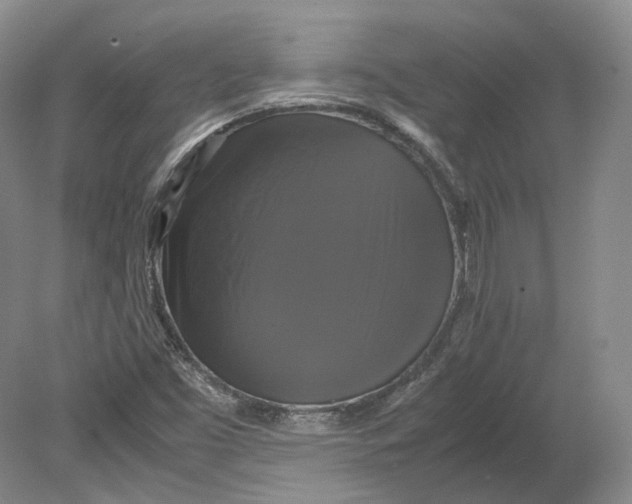 X0000080761453200701051224