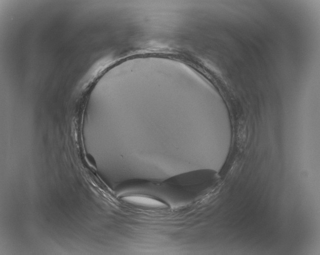 X0000080761455200701051224
