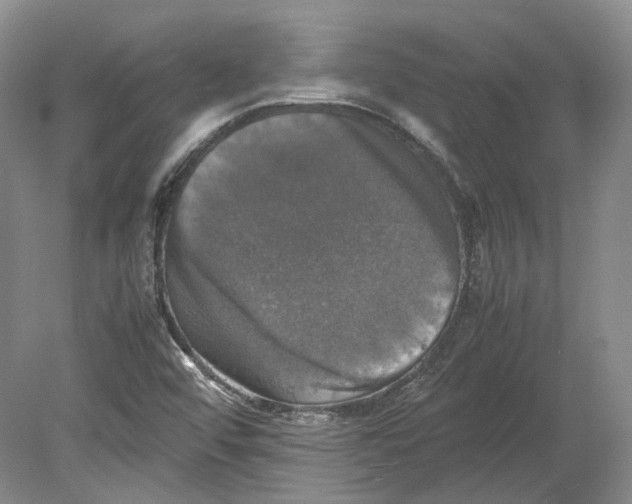 X0000080761456200701051224