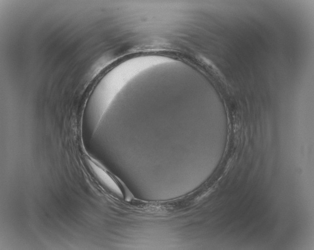 X0000080761457200701051224