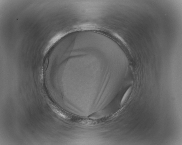 X0000080761461200701051223