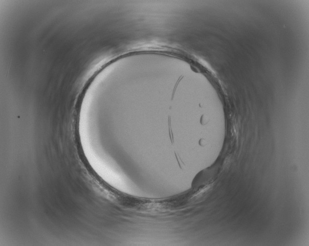 X0000080761463200701051223