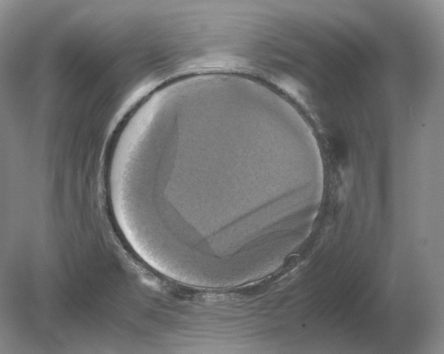 X0000080761469200701051223