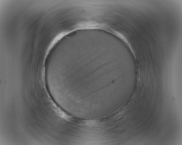 X0000080761472200701051223
