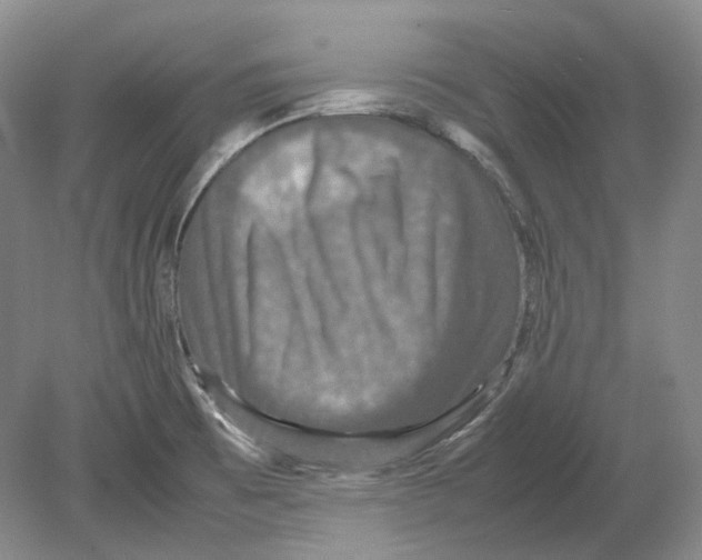X0000080761473200701051223