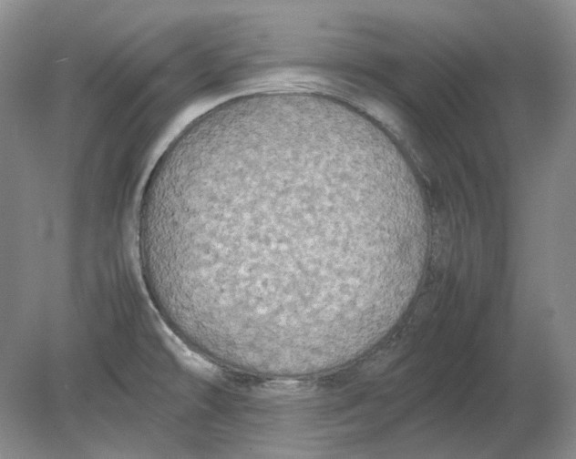 X0000080761478200701051223
