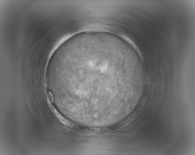 X0000080761485200701051223