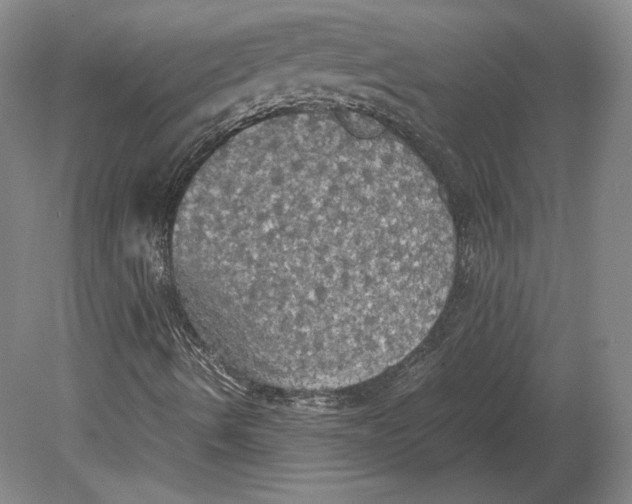 X0000080761490200701051222
