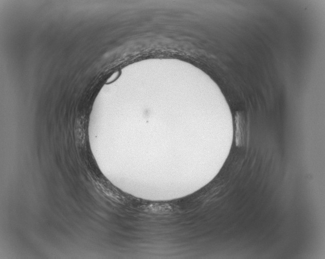 X0000080761491200701051222