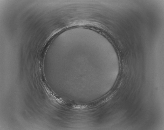 X0000080761497200701051222