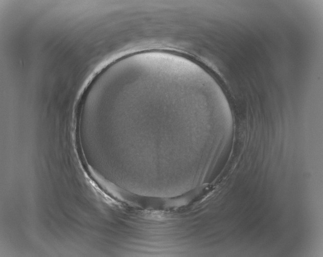 X0000080761508200701051223