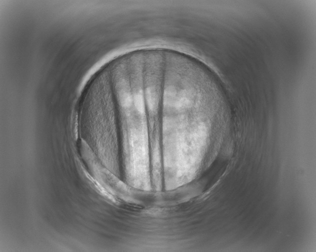 X0000080761510200701051223