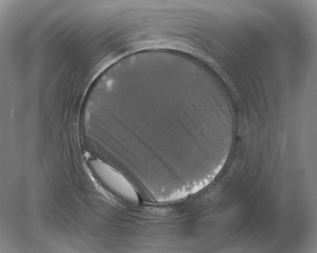 X0000080761513200701051223