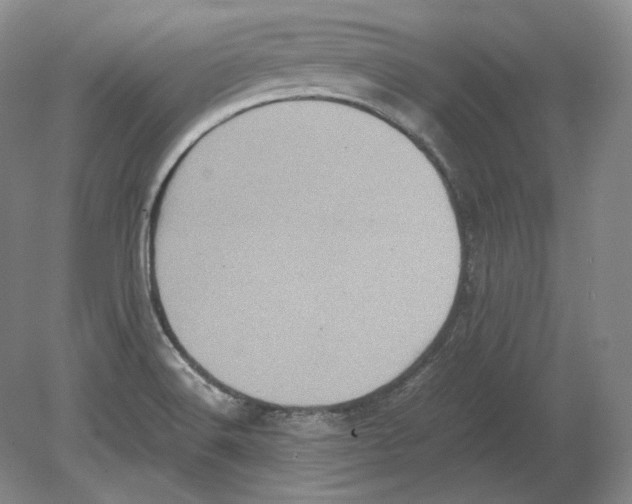 X0000080761516200701051223